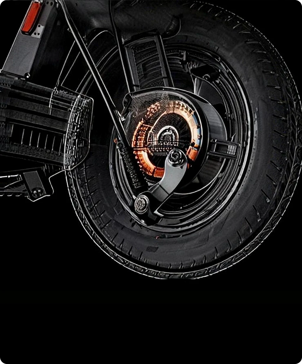 Dual braking system